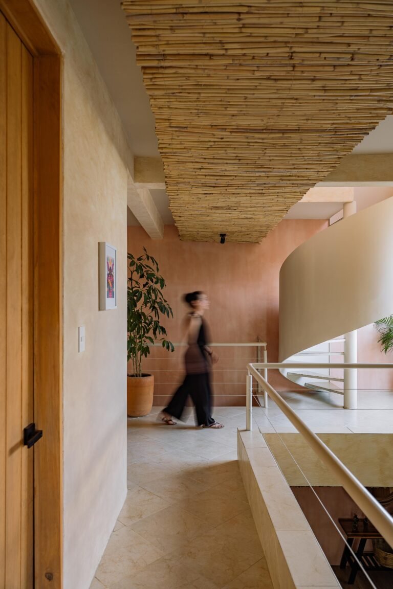 Casa Luz - T804 Taller de Arquitectura
